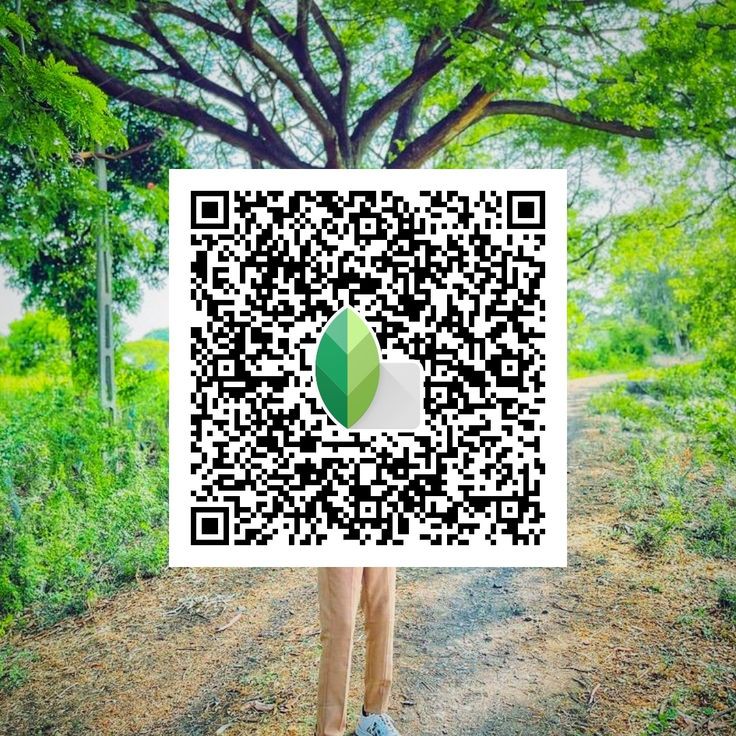 portrait snapseed qr codes