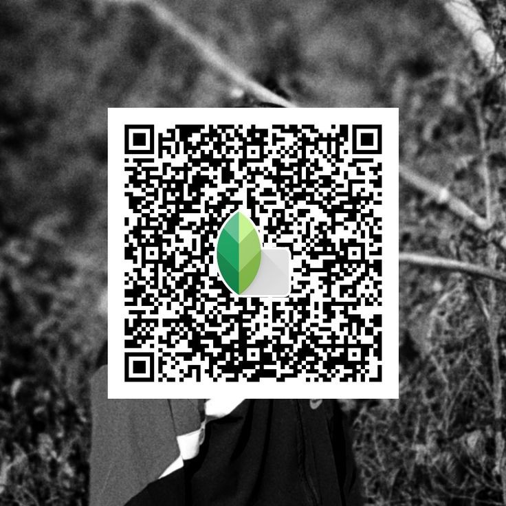 snapseed preset qr code