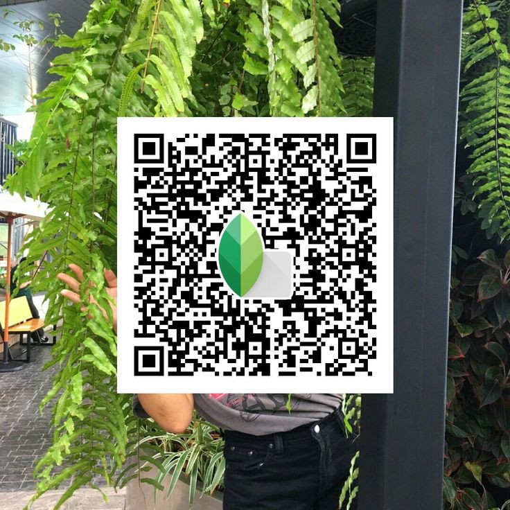 snapseed preset qr code