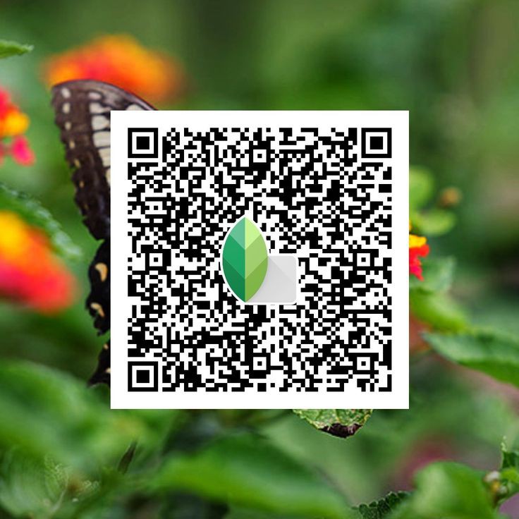 snapseed qr code blur