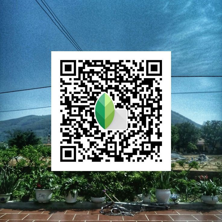 snapseed qr code cartoon