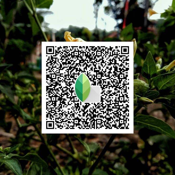 snapseed qr code cloud