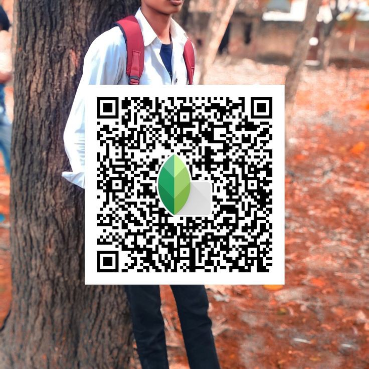 snapseed qr code evening