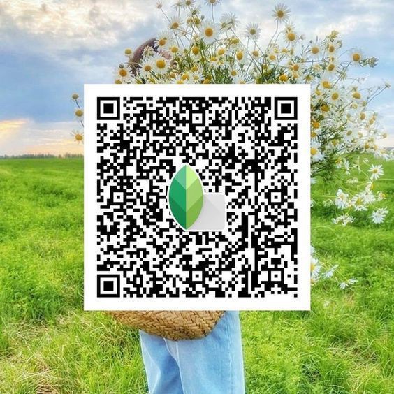 snapseed qr code photo editing hd 4k