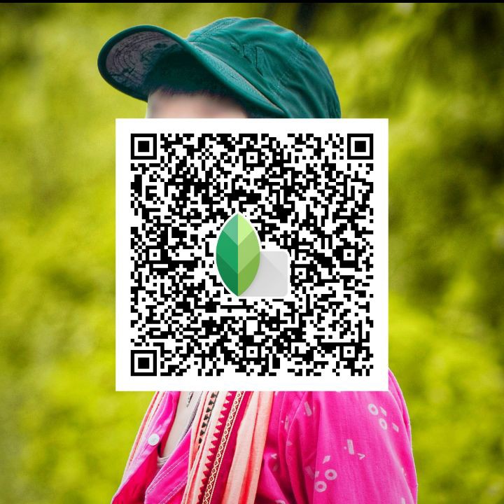 snapseed qr codes background change