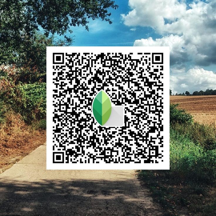 snapseed qr codes hd