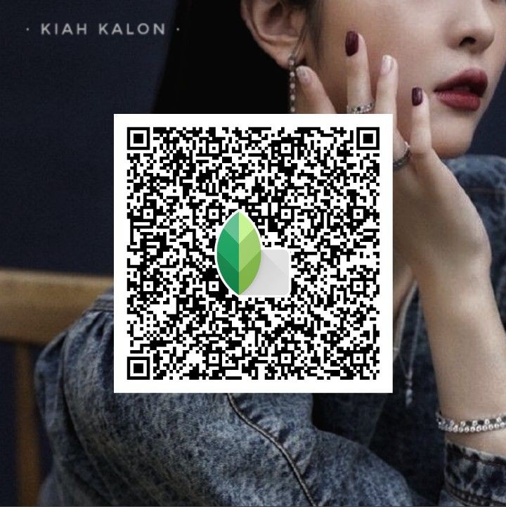 snapseed qr codes hd